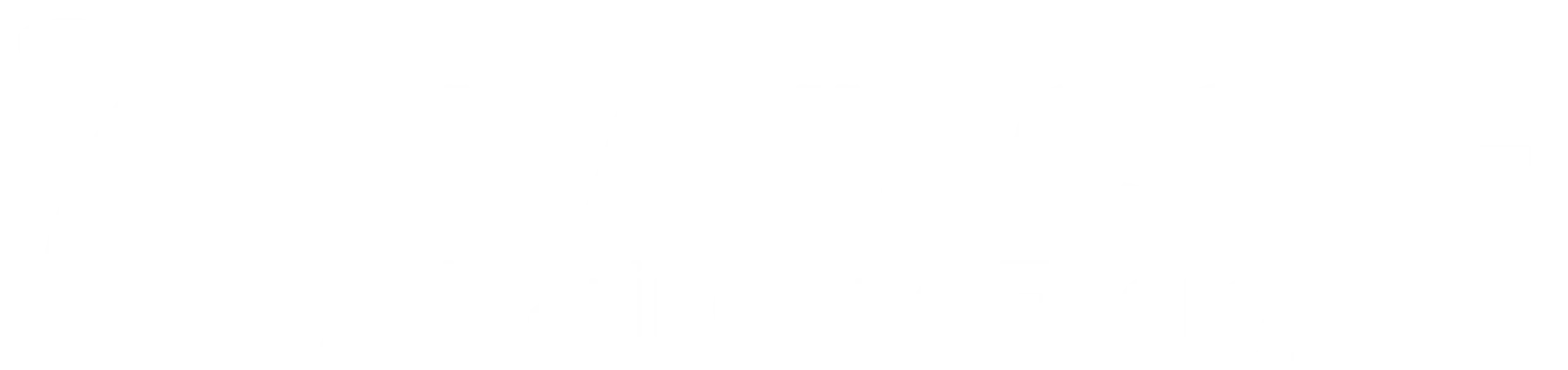 Naviscore